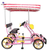 2 person surrey bike 4 person pedal quadricycle 6 person touring bike tandem bicycle for family